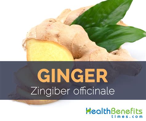 Ginger Facts Health Benefits And Nutritional Value