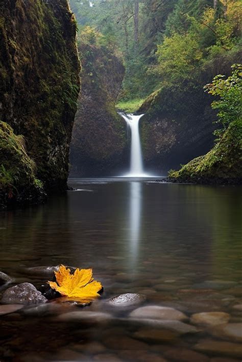 Punch Bowl Falls Columbia River Gorge National Scenic
