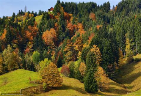 Download Wallpaper Autumn Hills Trees Forest Free Desktop Wallpaper