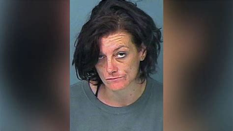 Florida Woman Arrested After Attempting To Burn Down Former Home With