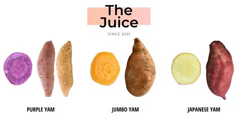 Three Most Common Yam Varieties Purvey D