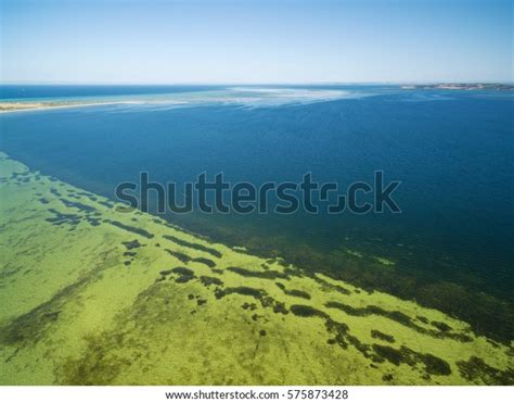 Bay Shoals Aerial View Shallow Turquoise Stock Photo 575873428