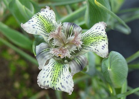 Check spelling or type a new query. Gewächshäuser | Botanischer Garten