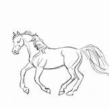 And we are talking about the legendary ford mustang. Draw: a horse - Swordwhale Walking: illustration, webcomic, stories, photojourneys, videos