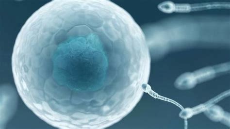 Uks National Sperm Bank Stops Recruiting Donors Bbc News