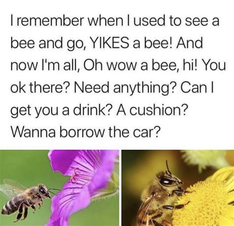 Save The Bees Rwholesomememes