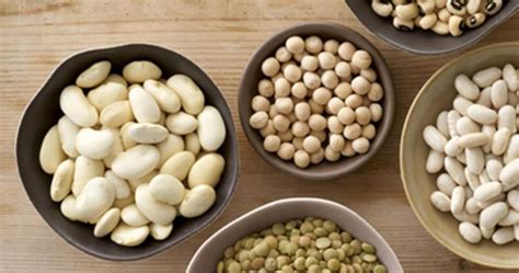 Maybe you would like to learn more about one of these? Can Dogs Eat Beans? - Our Dog Breeds