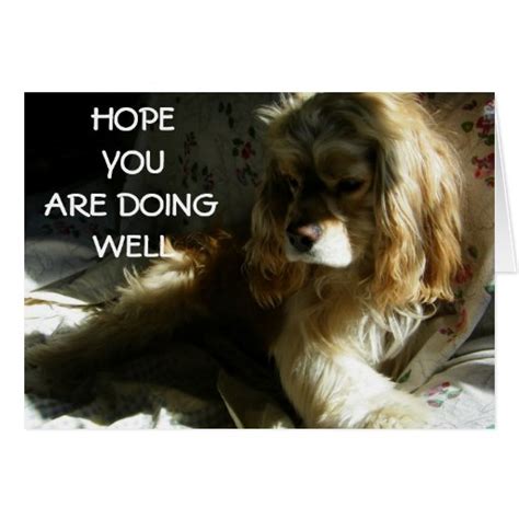 As a brit i like to be polite, but i would say i hope all is well with you and in the current situation would. "HOPE YOU ARE DOING WELL" GREETING CARDS | Zazzle