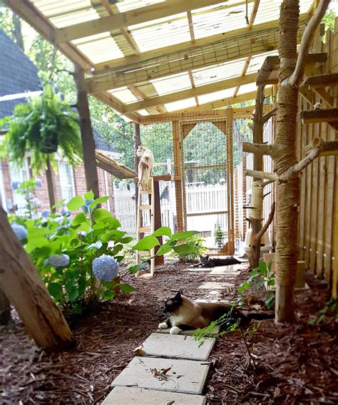 17 Diy Outdoor Cat Enclosure Attached To House Images See More Ideas