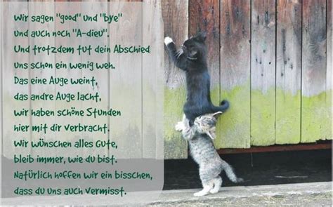 Zeig lieber der welt, dass du froh bist, mal eine pause von mir zu haben. coole Sprüche zum Abschied eines Kollegen | Sprüche ...