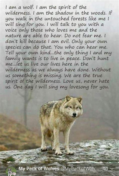 Pin By Patsy Cline On Wolves Lone Wolf Quotes Wolf Wolf Spirit