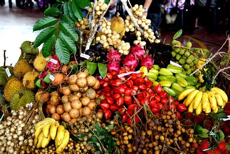 Contohnya, buah jambu batu mengandungi vitamin c dan buah limau mengandungi asid yang boleh menghadamkan makanan yang kita makan. buah-buahan tempatan | bekenu-pesta makan buah-buahan ...