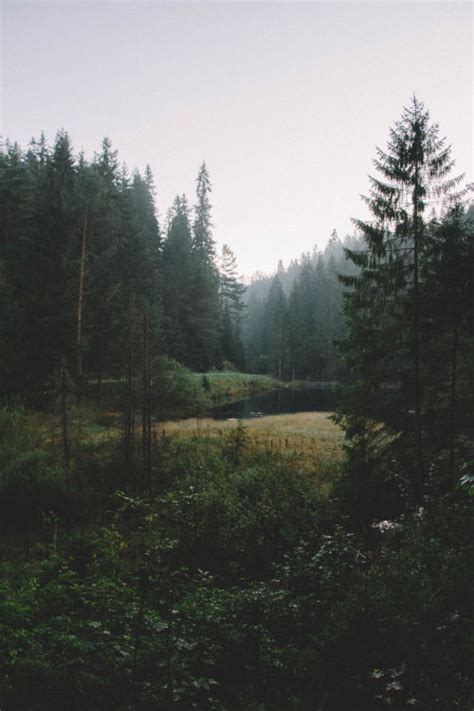 Forest Witch Aesthetic Tumblr