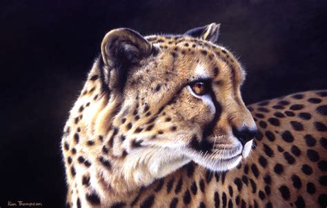 Cheetah Paintings