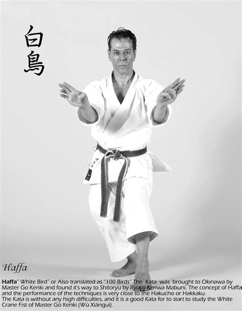 Pin By Tanzadeh Shitokai On Shito Ryu Karate Karate Martial Arts