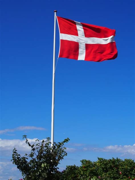 The Danish Flag Dannebrog Danish Flag Danish Culture Denmark Flag