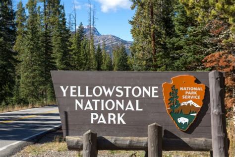 Yellowstone Provides Visitation Numbers After Reopening Wyo4news