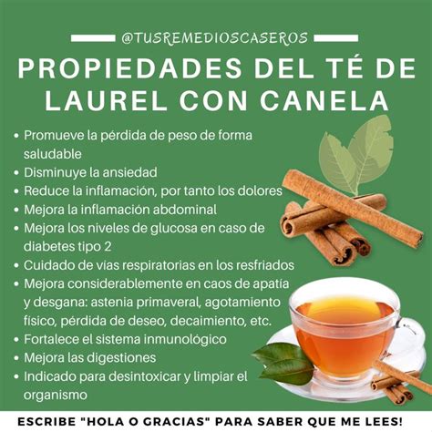 🔴 Propiedades Del TÉ De Laurel Con Canela Health And Nutrition