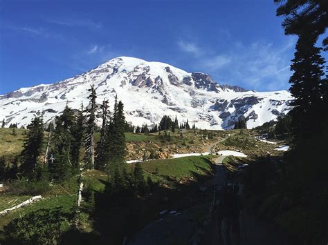 Camp Muir Rainier Ns