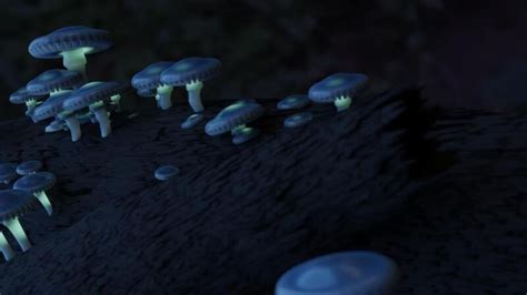 Artstation Bioluminescent Mushrooms