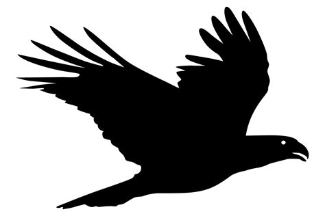 Caracara Bird Silhouette Graphic By Idrawsilhouettes · Creative Fabrica