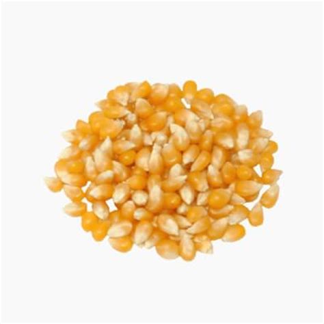 Corn (whole grain, raw) | Whole Food Catalog