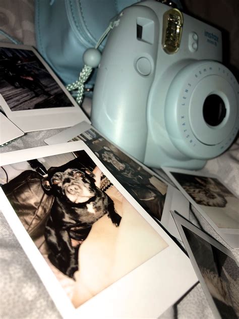 Exam Project Memories Through Polaroid Flickr