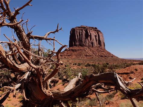 The american southwest contains more than its fair share of natural wonders: Navajo Nation Map - Southwest, United States - Mapcarta
