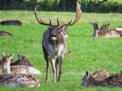 The Autistic Naturalist My 2014 Review Of The Year