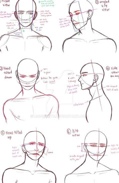 Drawing Busts By AngelKite On DeviantArt Drawings Drawing Poses
