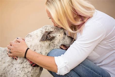 The living should smile, for the dead. Testimonials • Hair of the Dog Pet Photography Education