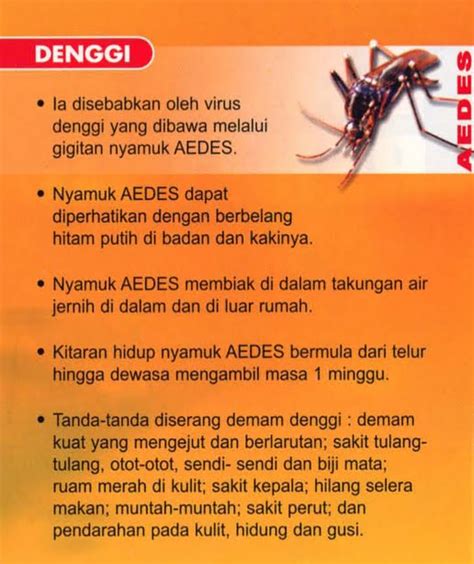 Penyakit ini berpunca daripada virus denggi iaitu salah satu jenis virus dalam keluarga flavivirus. Tanda-tanda, Cara Rawatan dan Cara Mencegah Demam Denggi ...