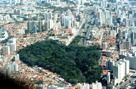 Pontos Negativos Da Urbanização