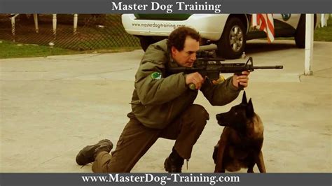 K9 Police Tactics Master Dog Training Youtube