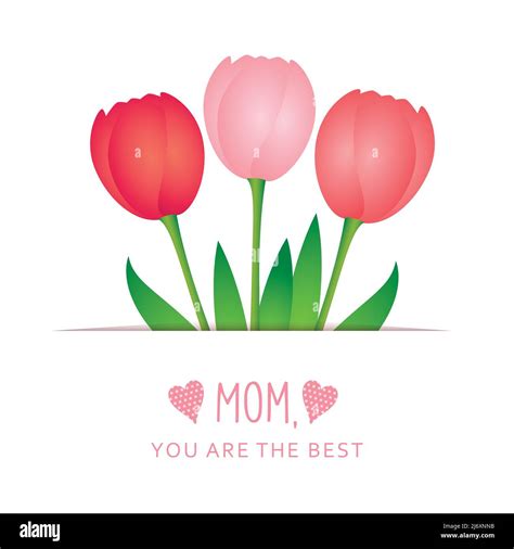 Greeting Card For Mothers Day With Pink Tulip Stock Vector Image And Art