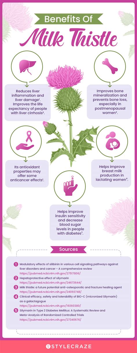 8 Side Effects Of Milk Thistle You Should Be Aware Of