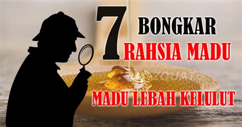 Download lagu madu kelulut mp3 gratis dalam format mp3 dan mp4. zquat royal softgel madu kelulut: Khasiat Madu Lebah Kelulut