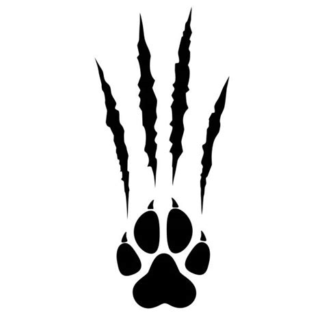 Tiger Claw Marks Silhouettes Stock Photos Pictures And Royalty Free
