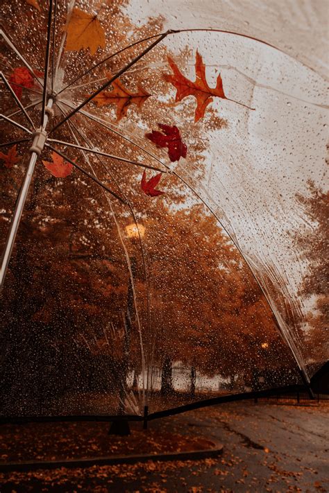 Aesthetic Autumn Rain Wallpapers Wallpaper Cave