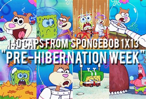 Pre Hibernation Week Sandy Cheeks And Spongebob Season 2
