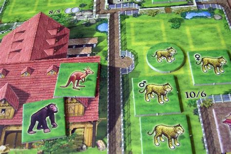 10 Best Animal Board Games Board Game Halv