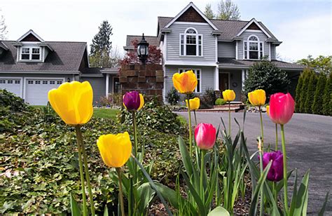 3 Reasons Spring Is The Best Time To Paint Your House