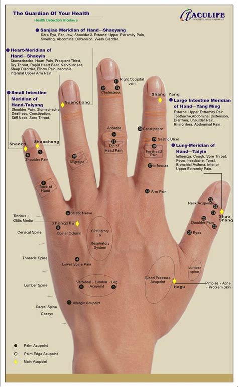 Hand Reflexology Reflexology Hand Chart Reflexology Chart