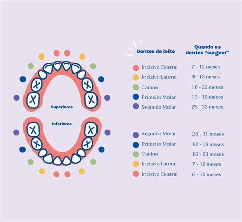 Confira Essa Lista Qual O Primeiro Dente Que Nasce No Bebe Perfecto