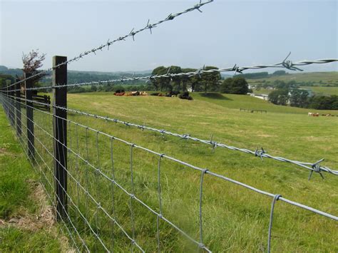 Five Quick Tips Regarding Barb Wire Fence Barb Wire Fence Barbed