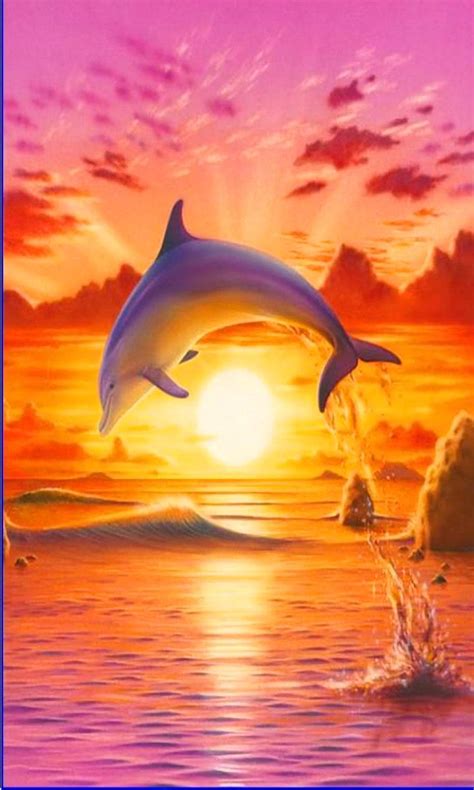 Beautiful Dolphin Sunset Wallpapers 4k Hd Beautiful Dolphin Sunset