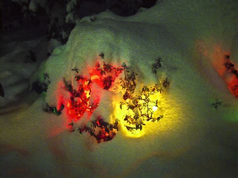 Glow Glowing Christmas Lights Under A Blanket Of Snow Duri Flickr