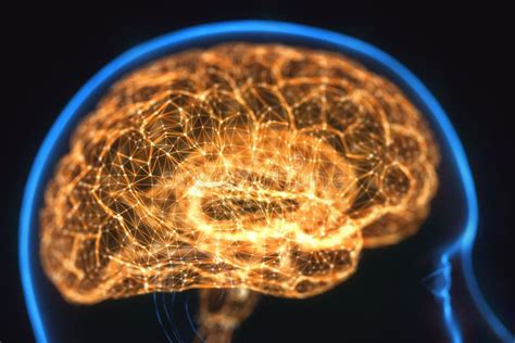 Powerful Mind Brain X Ray Stock Photo Image Of Head 146582966