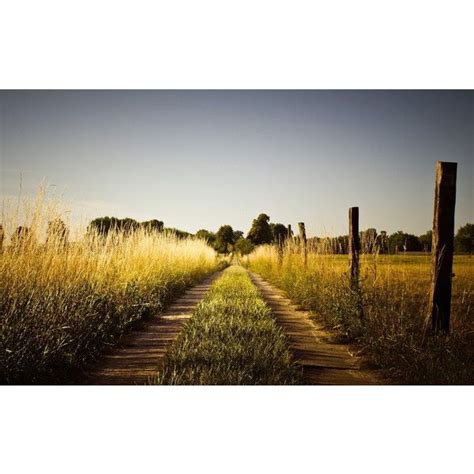 Summer Country Road Liked On Polyvore Featuring Backgrounds Facebook