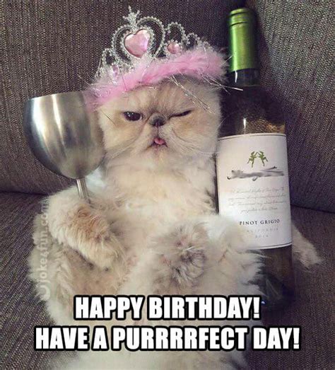 Cat Memes Happy Birthday Cat Memes Funny Cat Memes Pictures Sexiz Pix